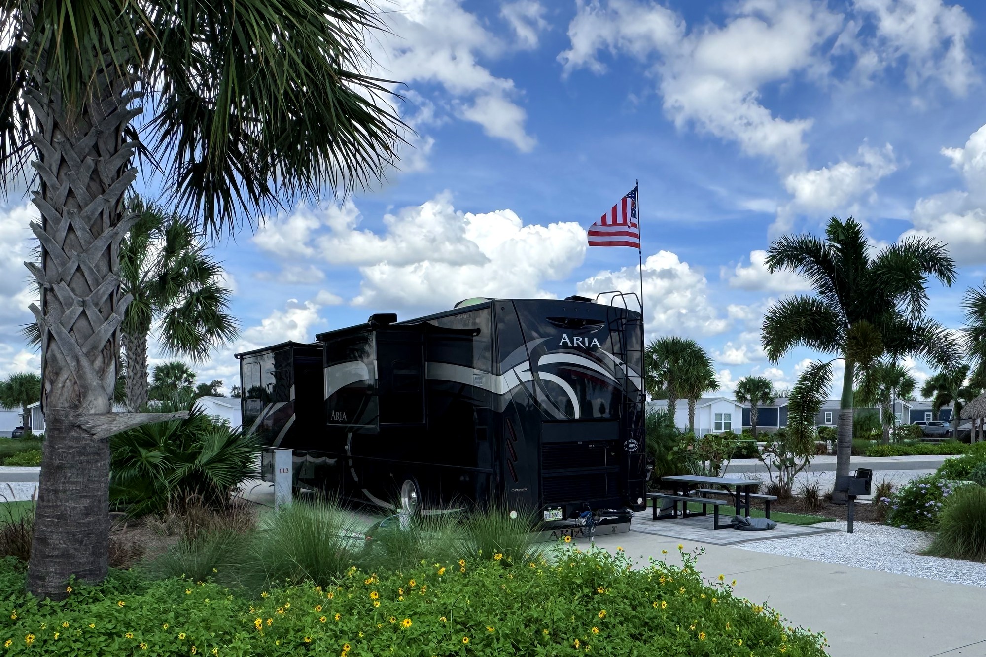 Paved premium RV site with landscaping and palms at Camp Margaritaville